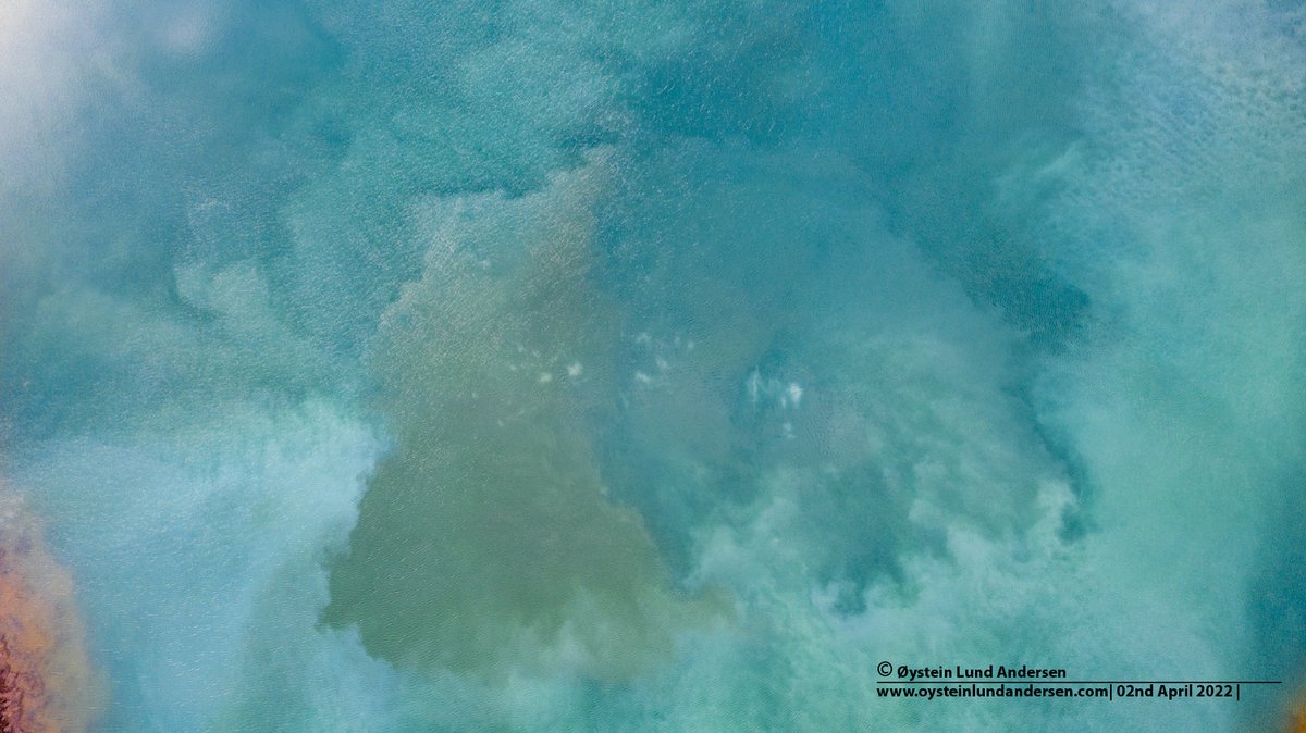 Øystein tweet media