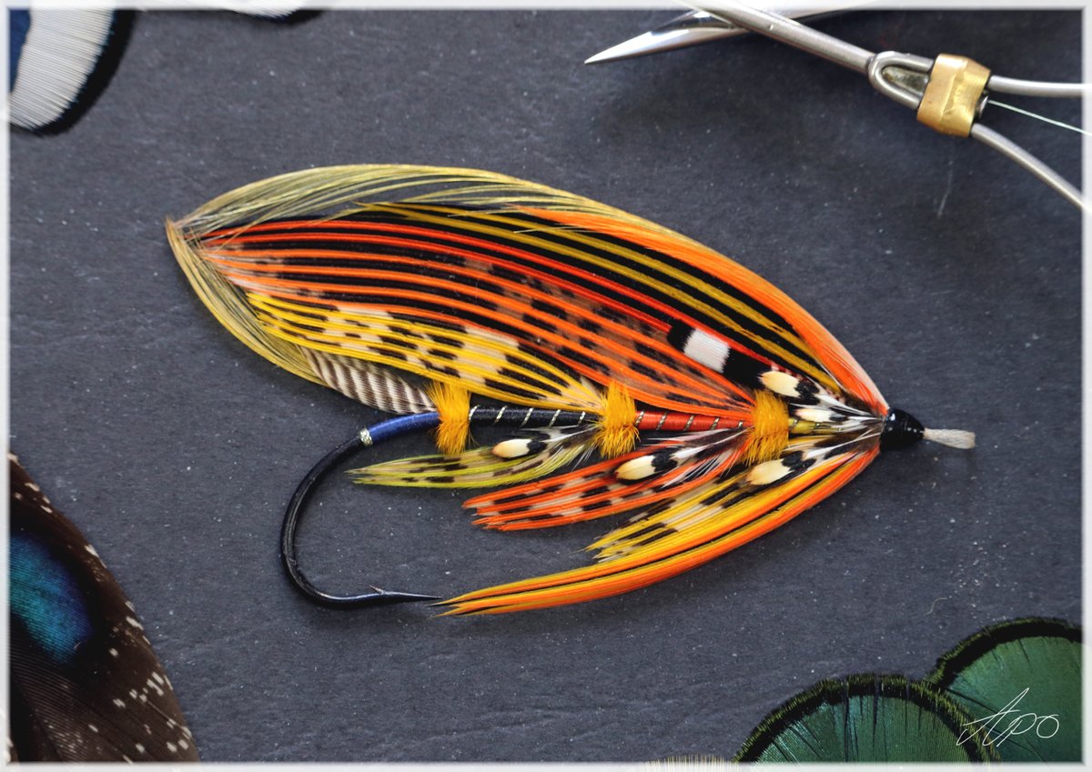 FeathersFins2's tweet photo. Artistic/creative Salmonfly - Another one from the wise
#flyfishing #flytying #salmonfly #salmon https://t.co/Jm7Cwfbmnc
