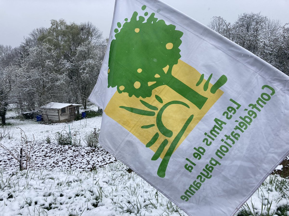 JardinsAuber's tweet photo. La JAD sous la neige à Besançon en soutien aux @JardinsVaites ✊
Avec @lessoulevements , @ConfederationP et @xrbesancon 

Solidarité avec tous les jardins populaires ! https://t.co/zcJrgvqMfA