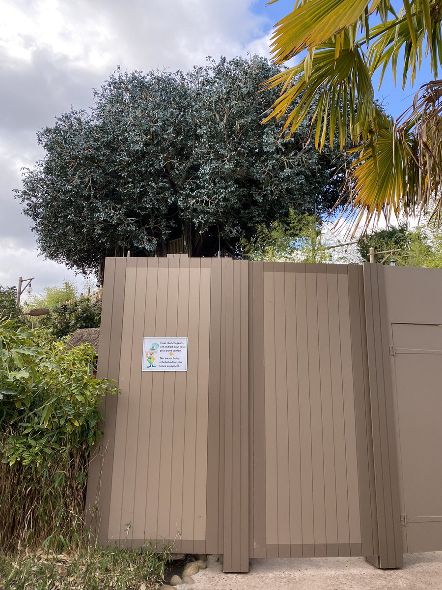 Cave0fWonders's tweet photo. ✨ 🚧 La Cabane des Robinsons 🌳 restera fermée jusqu’au 31 mai 2022 ✨
#disneparks #DisneylandParis30 https://t.co/gBLKgcsgeL