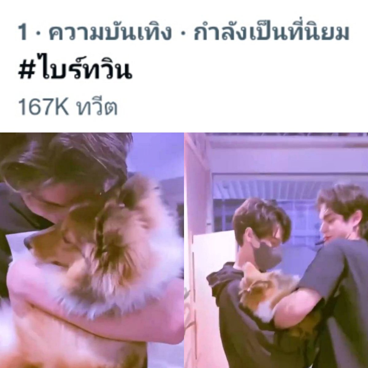 N̆̈𝕠𝐨𝙺ℕ𝚒𝚔นน.(*^3^)/~♡🐰💭💗🥐 tweet media