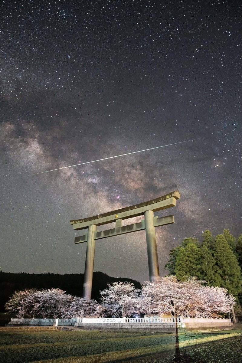春の夜空に奇跡が起きました 大鳥居の映える夜空にひとすじの閃光 神秘的な写真が話題 まいどなニュース