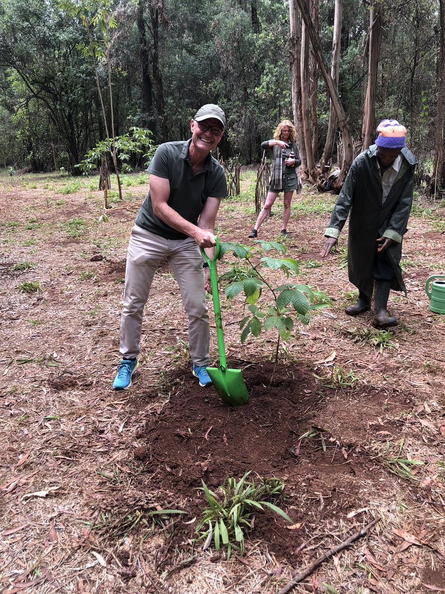 Ambassador Gunnar Andreas Holm <a href="/NorwayAmbKenya/">Siv Cathrine Moe</a> planting the Norwegian tree in Karura forest, the second largest urban forest in the world. #biodiversity #ClimateAction #ForNature