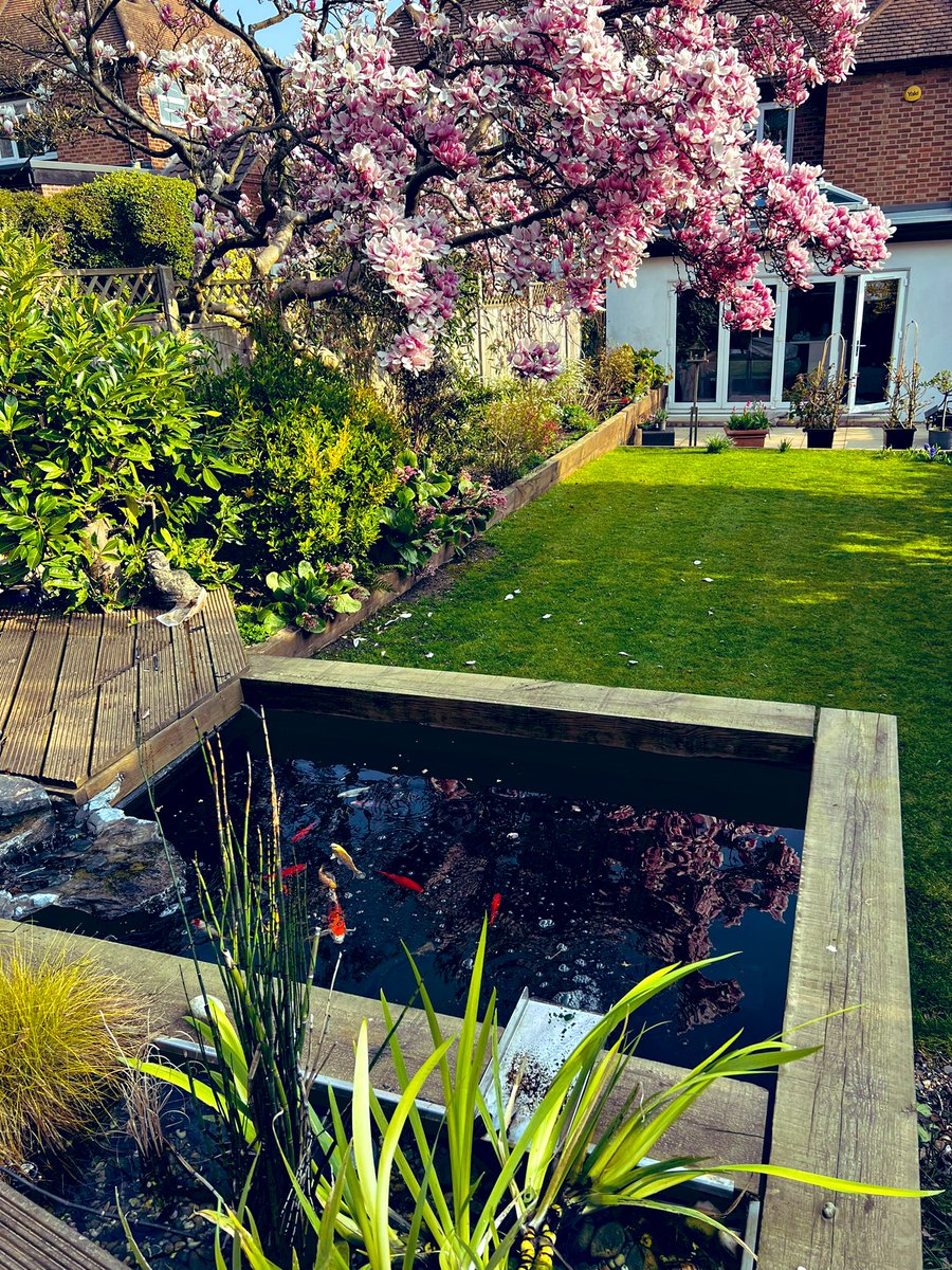 Simon McManus tweet media