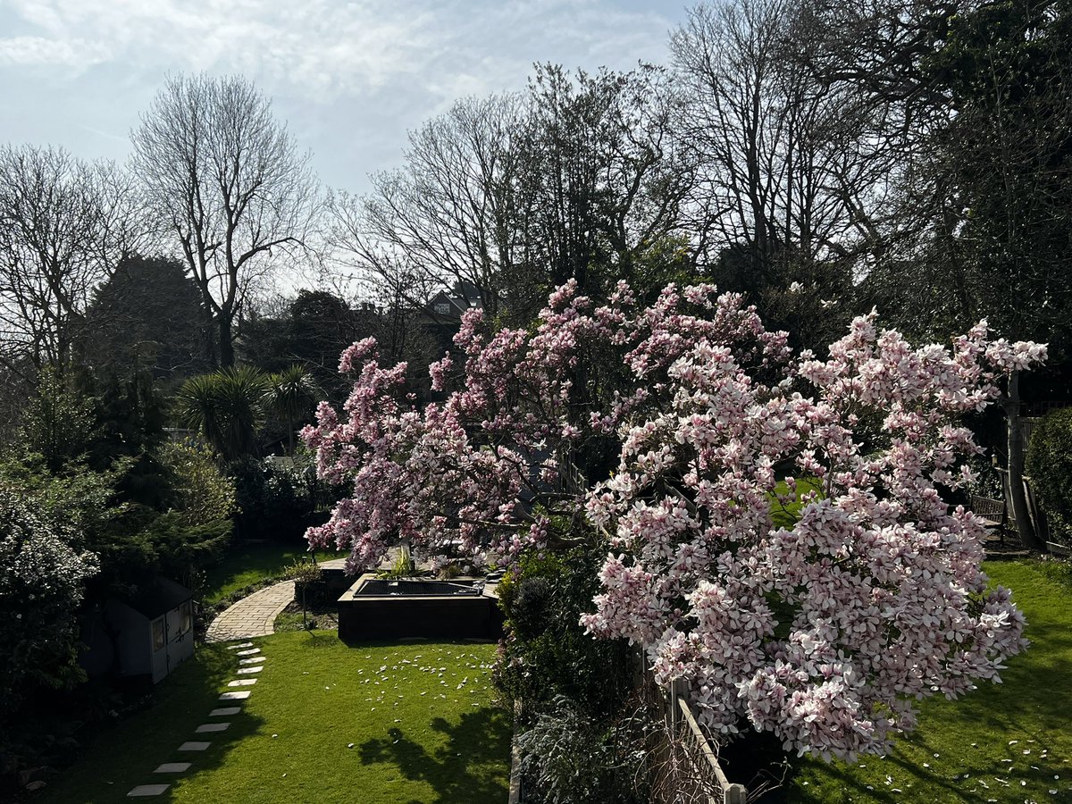 Simon McManus tweet media