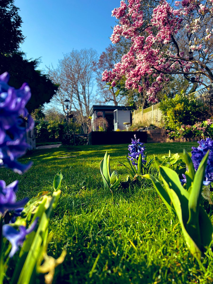 Simon McManus tweet media