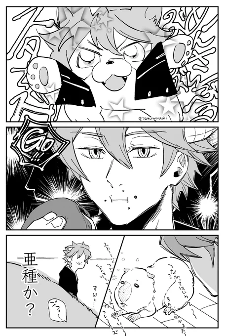 犬判定ガバガバな犬大好きヒュース漫画
※BBF引用
※あんスタエイプリルフールネタ
※謎時空 