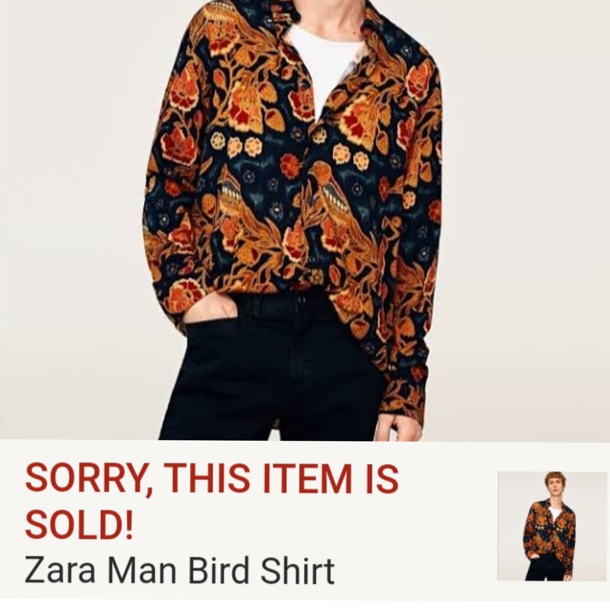 TAE♡Vbear⁷⁹ LAYO(ꪜ)ER🐅 on X: "Our Kim Taehyung worn " Zara bird printed  shirt" 🐯🐦❣️[$49] in his Twitter background prf which he previously wore  too in 2019 bdy live!! &look what "Shirt is