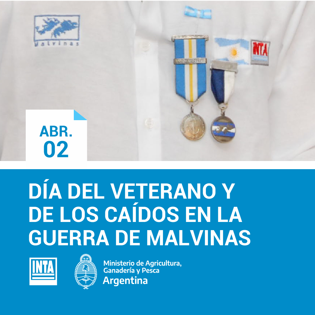 #Malvinas40Años

A 40 años de la Guerra de Malvinas, hacemos propia la reafirmación legítima e imprescriptible de la soberanía argentina sobre las islas y los espacios marítimos circundantes. Las Malvinas son y serán siempre argentinas. #MalvinasNosUne 🇦🇷
