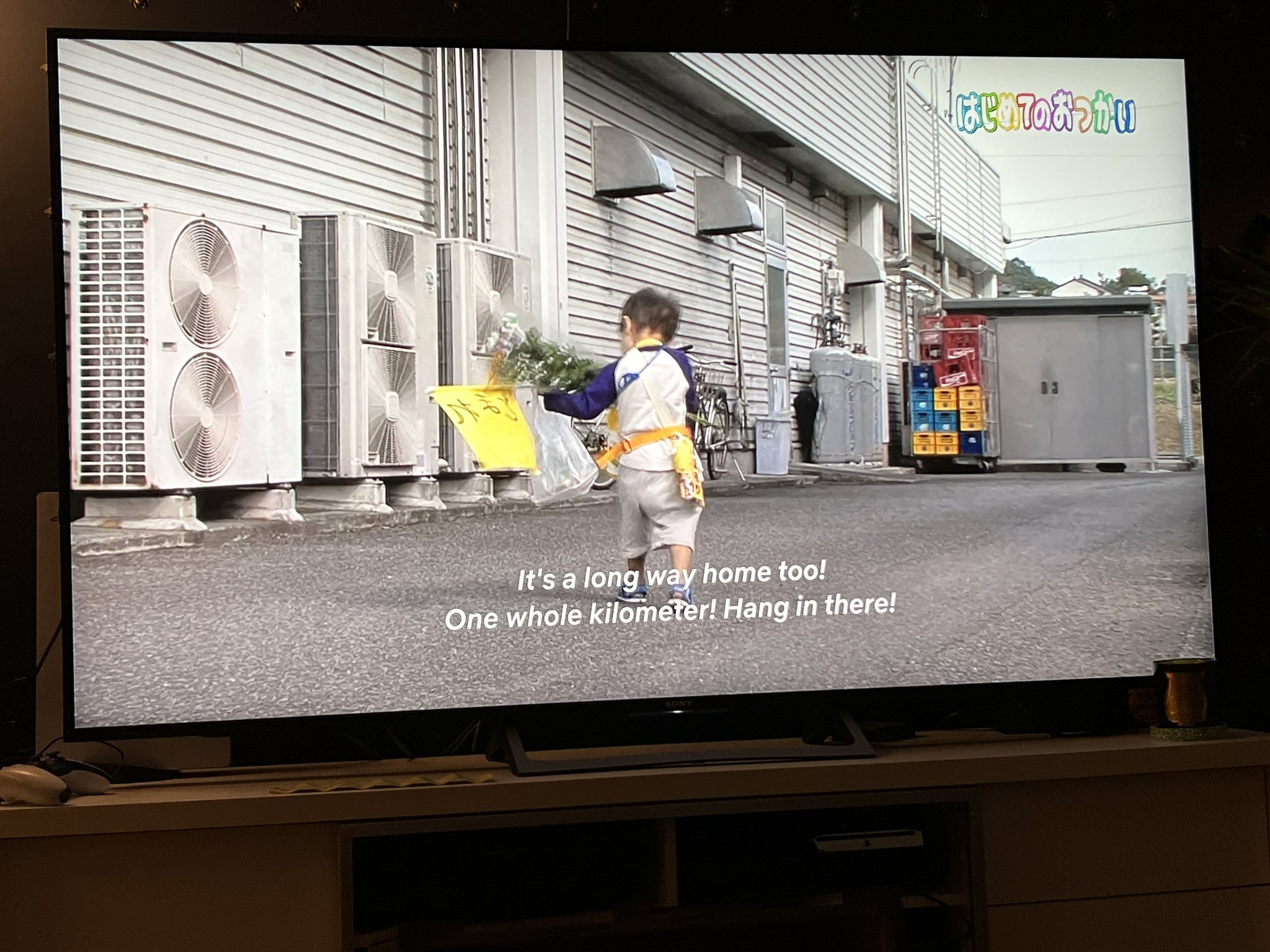 Adam ElIis on Twitter "I’m obsessed with this Japanese reality show