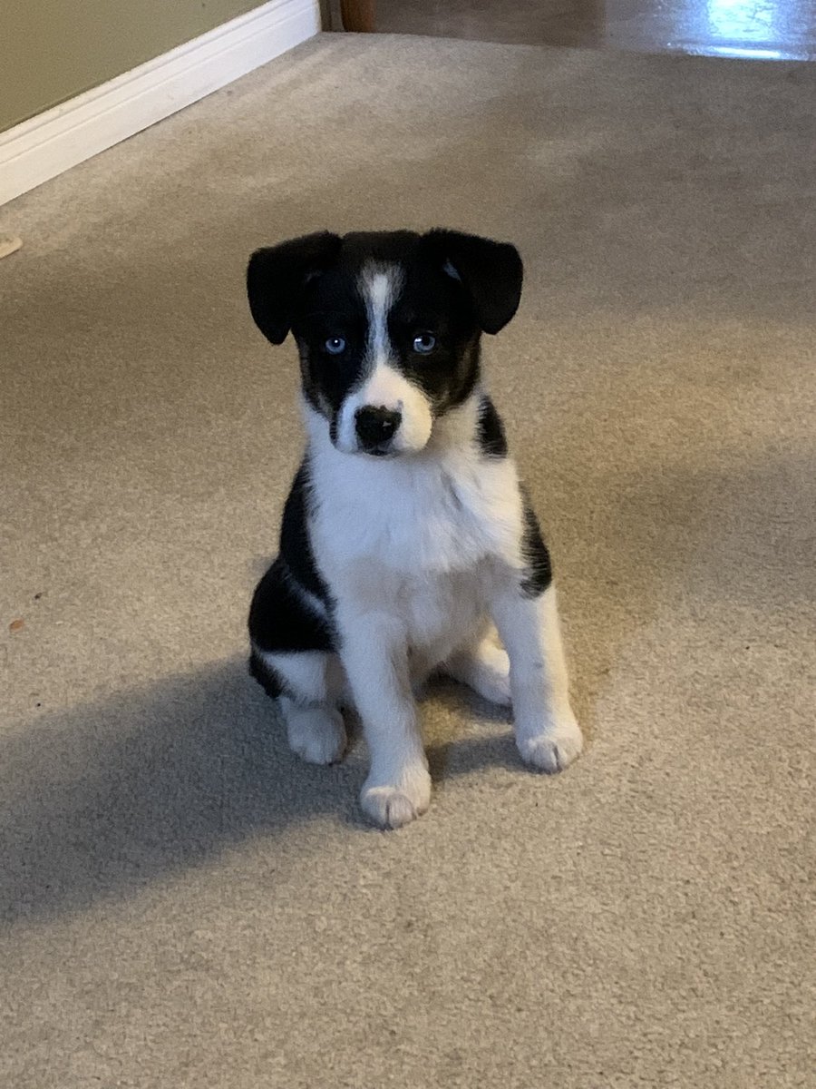 Mark Bennett tweet media