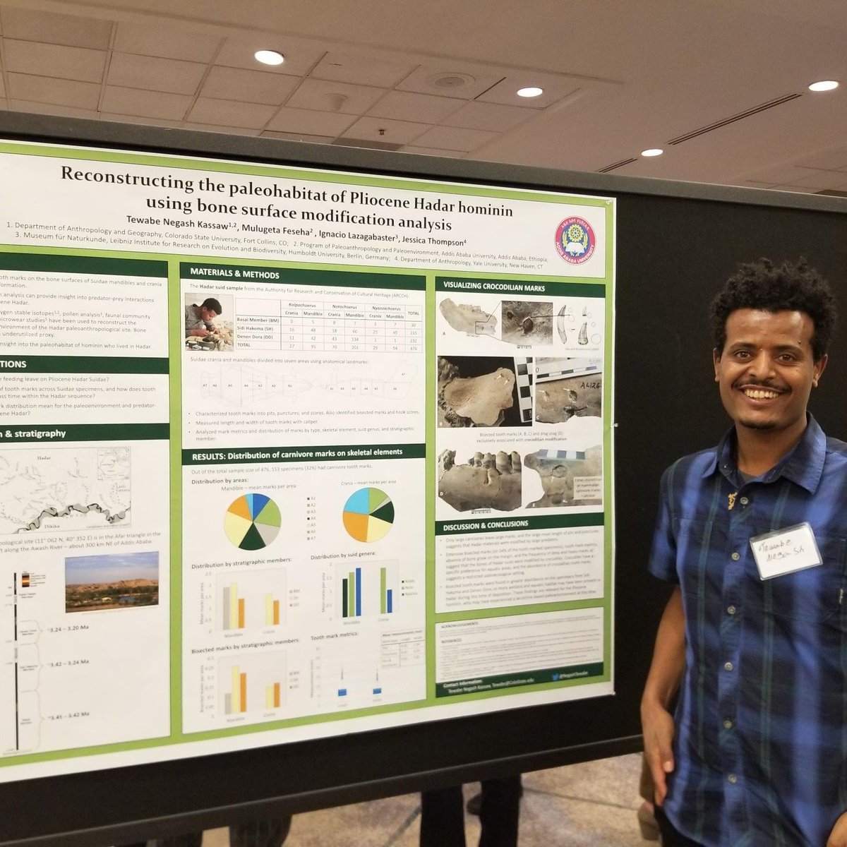 TewabeNegash's tweet photo. Last week I presented my poster at the American Association of Biological Anthropologists / Paleoanthropology Society Annual Conference in Denver, Colorado! #AABA @CSUAnthGR @ColoradoStateU #paleoanthropology #Biologicalanthropology #blackinbioanth https://t.co/cfR4UwFUl2