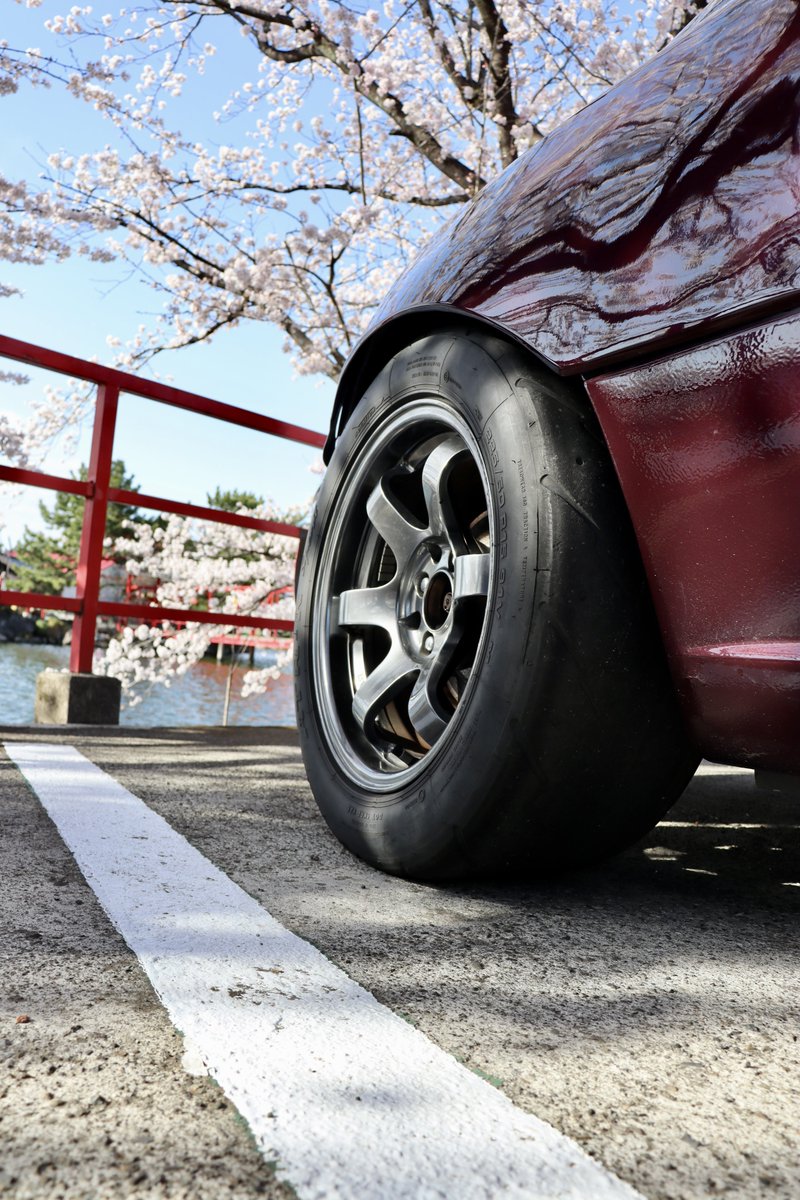 t4kuya_'s tweet photo. ロスタ車検で預ける前に桜と写真撮れて良かった😌 https://t.co/dWsbIRSAP5
