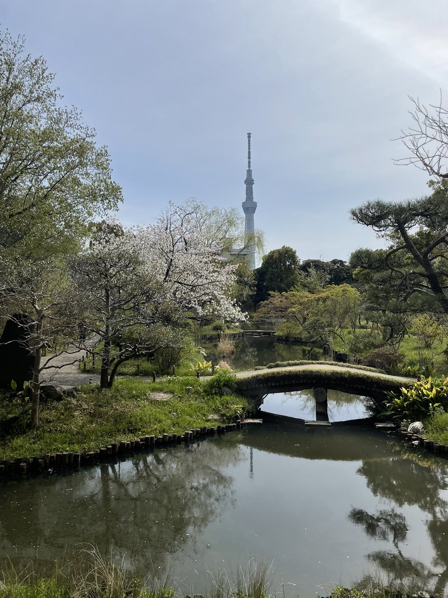 jouejouet's tweet photo. 向島百花園に来ました https://t.co/jzqKWW52p3