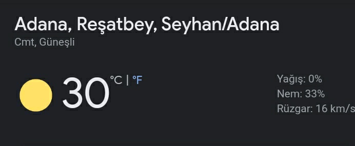 Adana #online #started #summer