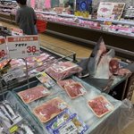 出雲のマックスバリュに買い物に行ったらサメに遭遇!そして、安い？!
