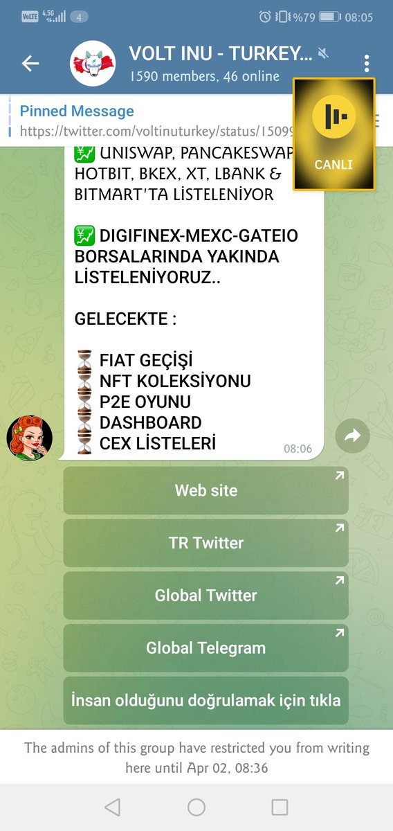 uğur tweet media