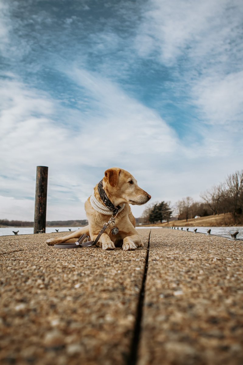 Beyond the Trail | Nicole tweet media