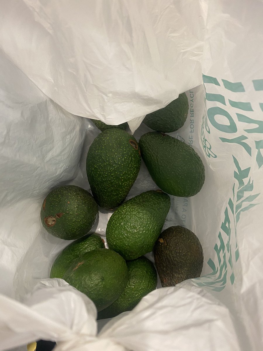 johnathan_r's tweet photo. 13 years and still encountering situations that make zero sense #freeshavacado https://t.co/mCPzZH5cRp