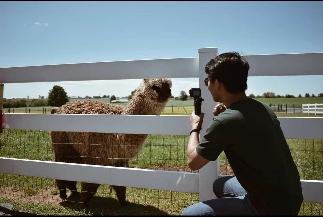 monkeykwong02's tweet photo. Web 2 me enjoying llama versus web 3 me enjoying same llama

@LlamascapeNFT @Llamaverse_ 

#wen https://t.co/vk3g7adLFp