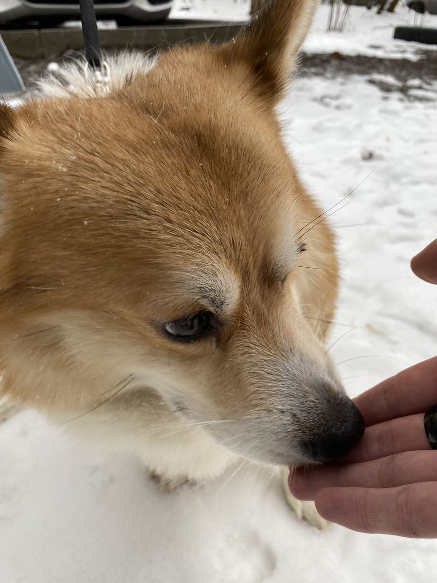 const_7's tweet image. Немного вам Джейка в ленту
@tania28rec