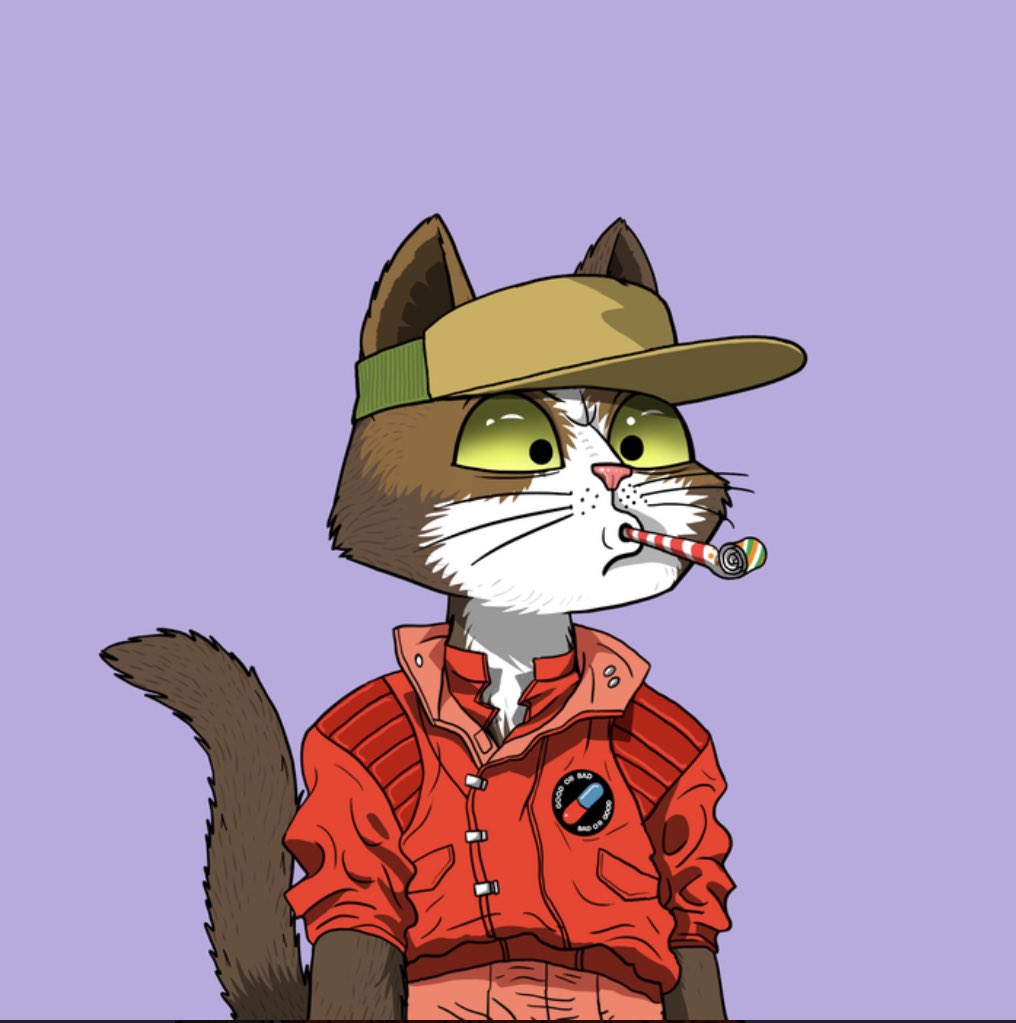 DoubleDip88's tweet photo. Just joined the @MarsCatsVoyage family with cat number #2007 These cats are fire 🔥 #wenmars https://t.co/OxCDtakFKG