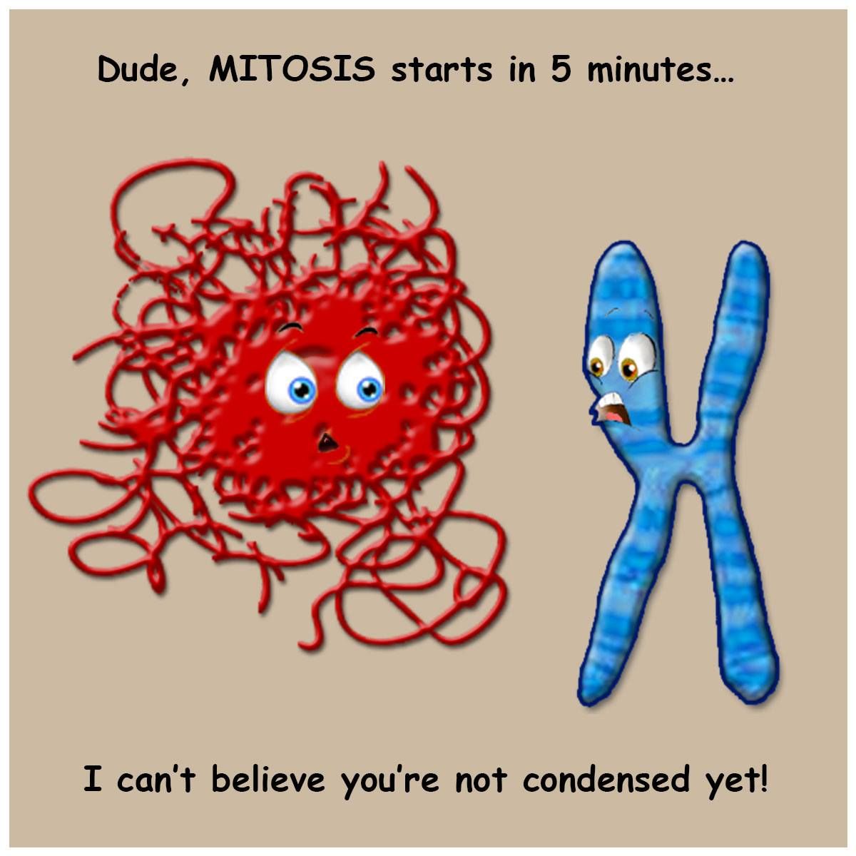 DNA&RNA Universe 𝕏 tweet media
