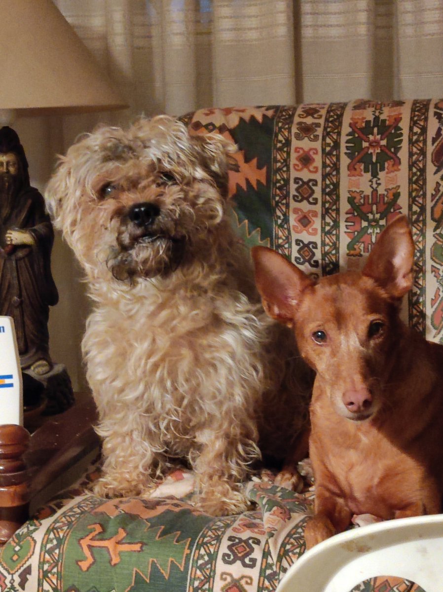 María José Martín ن 🖤 tweet media