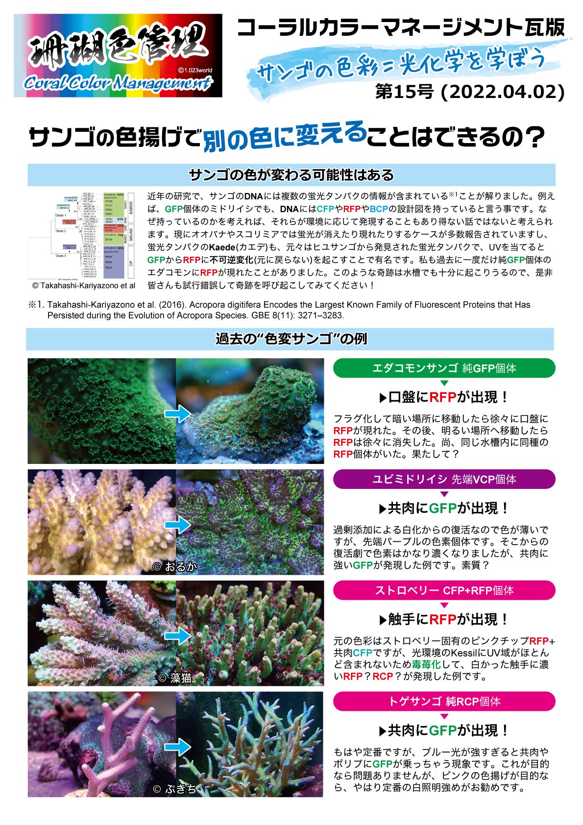 博多の潮 ペニ男 Peni Reef Twitter