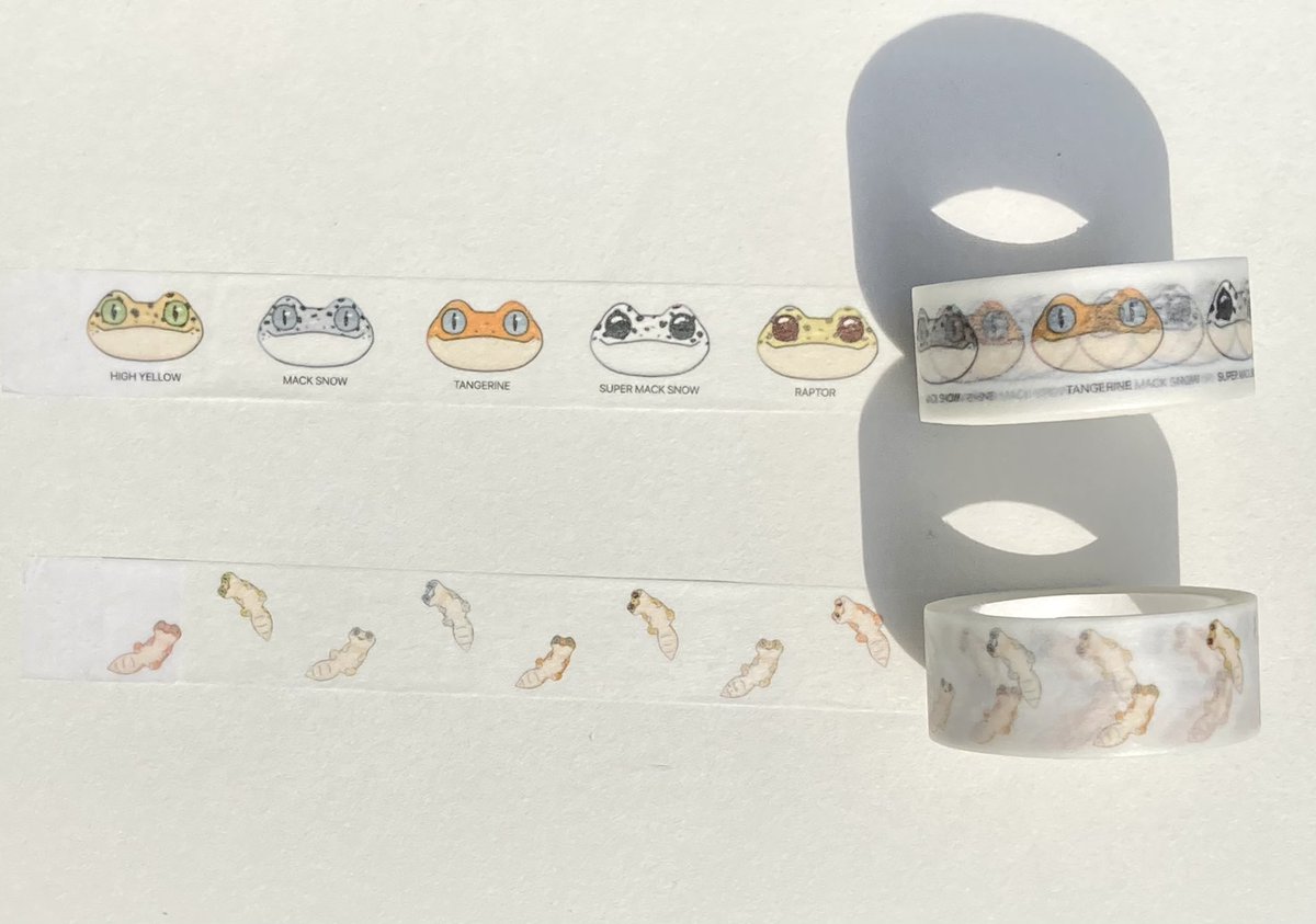 マスキングテープ – търсене / X