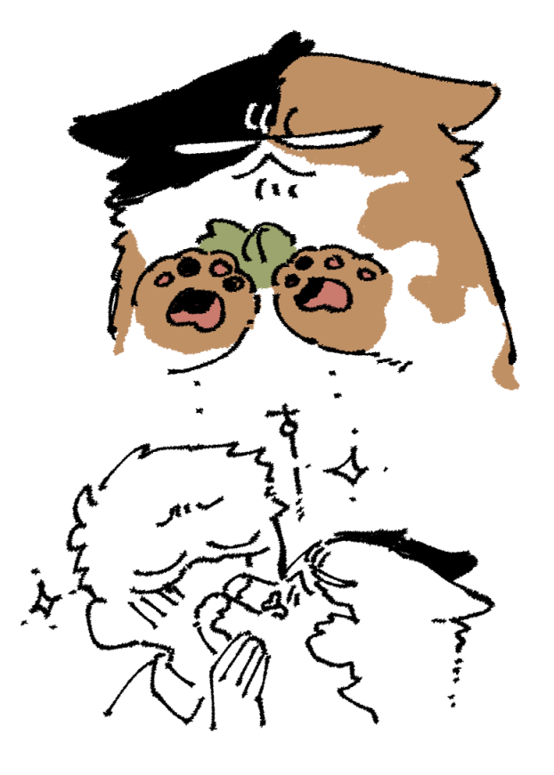 はぴじゃむもといわんにゃん再掲まとめ⑬ 