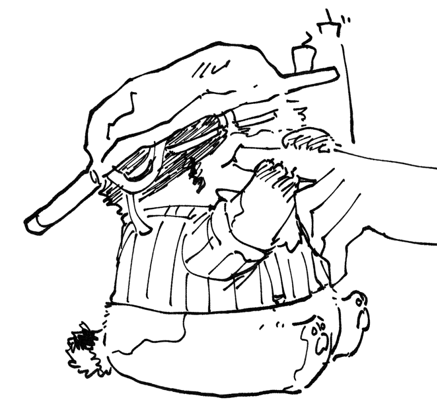 はぴじゃむもといわんにゃん再掲まとめ⑬ 