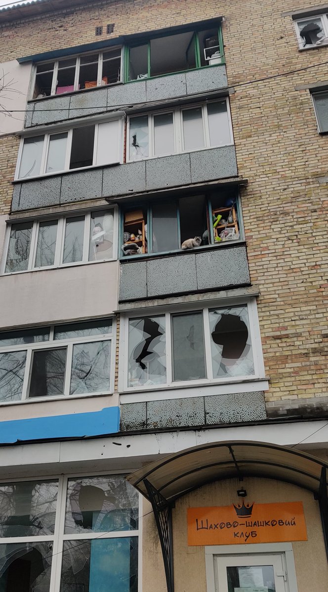 dpkBopanna's tweet photo. Scavenging deserted streets for food &amp; water dozens of pets are struggling to survive while they wait for owners/residents to return in war torn #Ukraine️. Saw several dogs &amp; cats stuck inside homes too. These pics are from Irpin near #Kyiv.
#PetsOfWar #UkraineRussiaWar https://t.co/EVPLGfbZfd