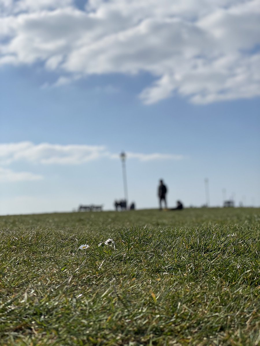 _RG_Photography's tweet photo. “Let the children play…”

#lytham #green #play #children #outdoors #spring #photography

~RG https://t.co/FrZDLeT20Z