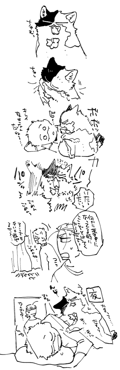 猫㌧再掲16 