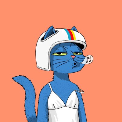 MaayanGabrieli's tweet photo. My beautiful new cat 🤩
what do you think? #NewProfilePic @MarsCatsVoyage https://t.co/wu4WyVEWn5