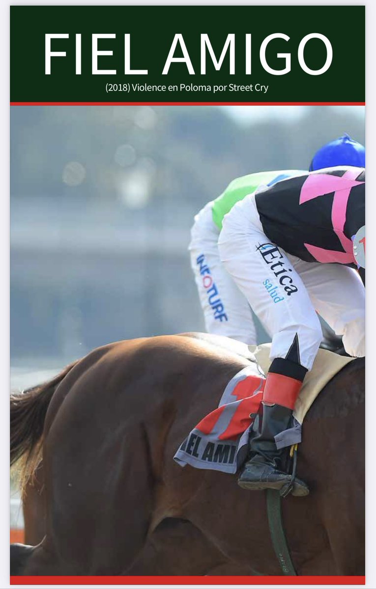 Haras Santa Ines tweet media