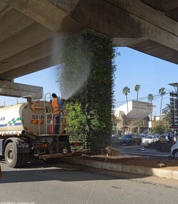 We can all agree that there's better way to have those flowers irrigated in this time and age!