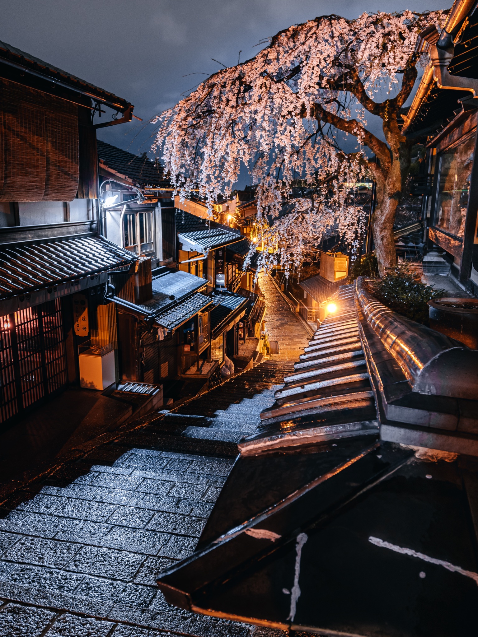 Twitter 上的 Szuna 京都の夜桜が綺麗でした T Co 0f9zzcx0ek Twitter