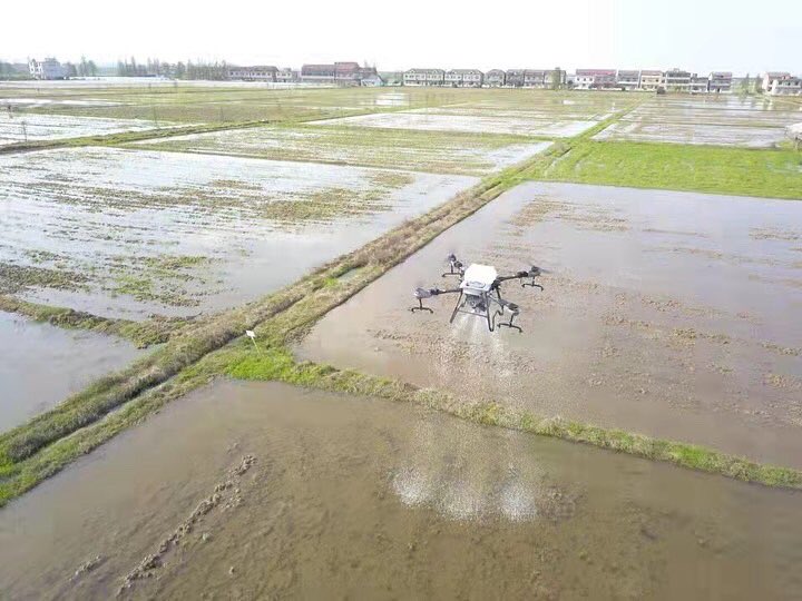 TopxgunW's tweet photo. FP300 agriculture drone is spraying a kind of compound fertilizer to the rice. #agrodrones ##cropdusteruav #cropsprayingdrone
#droneagriculture #droneagriculturesprayer #dronefarming
#droneforagriculturalspraying #droneforagriculturepurpose
#dronefumigator #dronesprayer https://t.co/dGI0IZ9a3y