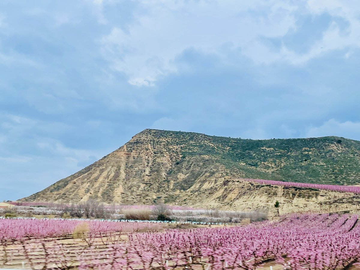 mptonnesen's tweet photo. “Spring adds new life and new beauty to all that is.”
🌸
Hello, April &amp; hello, Spring 🌞
Days are longer, sun shines warmer, and #TheCosmopolitanIslander’s heart is singing with joy in the #blossom valley of #Catalonia!
 
https://t.co/9A0c9FvAFl

#Traveler #BookTwitter #amreading https://t.co/bYs85pQVTO
