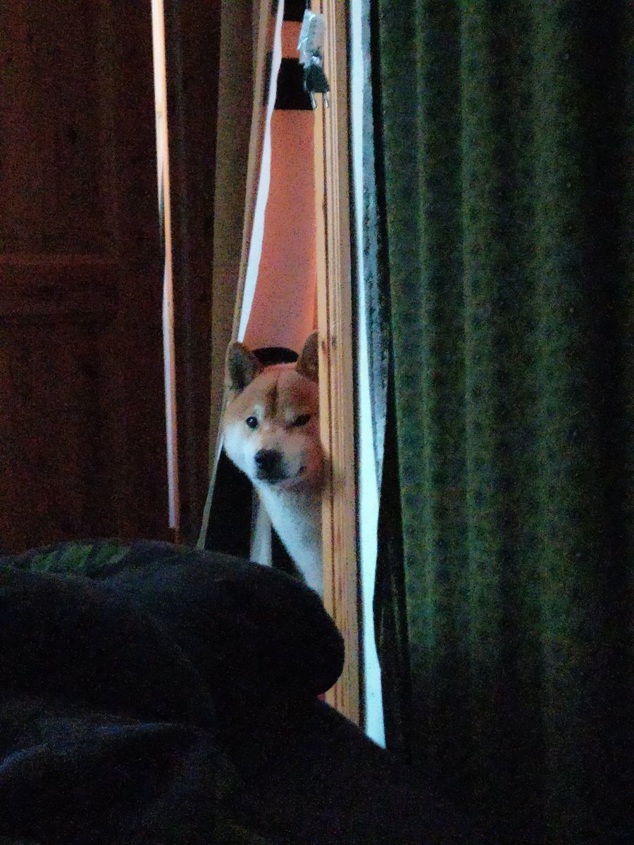KramerFumiko's tweet photo. Steht ihr jetzt Mal auf? 
#twitterrudel https://t.co/tbCCkcKfoj