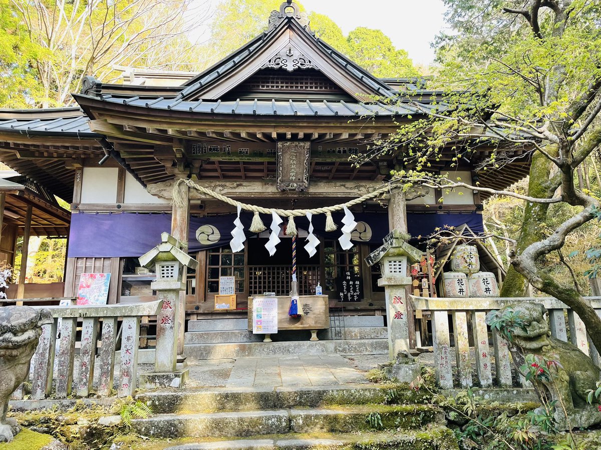 杏 砂時計 最新情報まとめ みんなの評判 評価が見れる ナウティスモーション