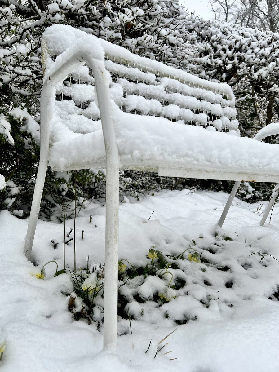MeteoDreiland's tweet photo. Offizielle #Schneebrett #Neuschneehöhe von #6UTC, 02.04.2022 in #Bettingen #BS, #432m: 8cm #Pulverschnee ❄️ Bettingen ist übrigens eine #MeteoSchweiz #Partnerstation sponsored by #DTN #MeteoGroup - Danke für die tolle Zusammenarbeit seit 11 Jahren, Joachim & Gery! 😊 https://t.co/zltSNjvj6B