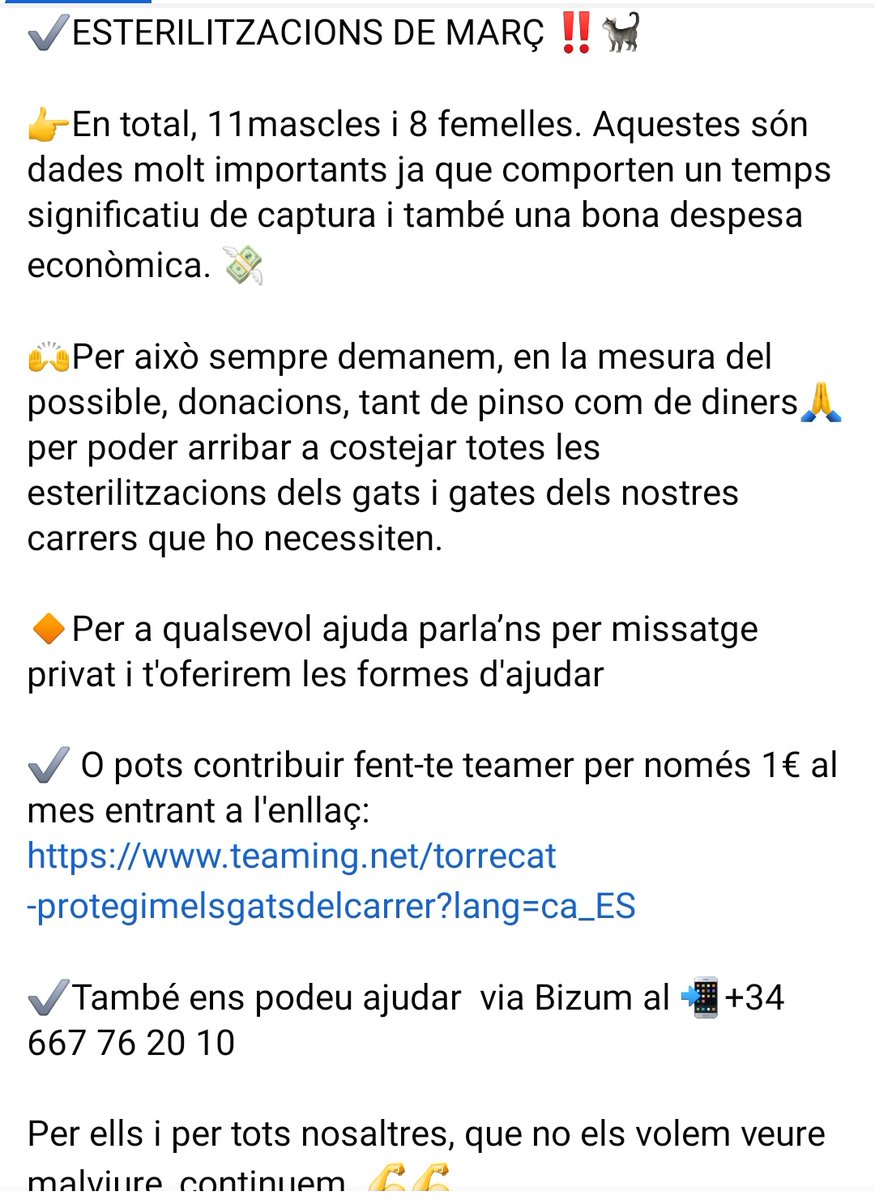 torrecatsocial's tweet photo. El #voluntariat de #Torrecat NO DESCANSA davant la necessitat d'#esterilitzar els #gatsdelcarrer de #Torredembarra per evitar camades no desitjades. ENS AJUDES amb 1€ al mes?🥲🫰🙏 https://t.co/PLPlmlxVaI https://t.co/1Y8D6plmrR