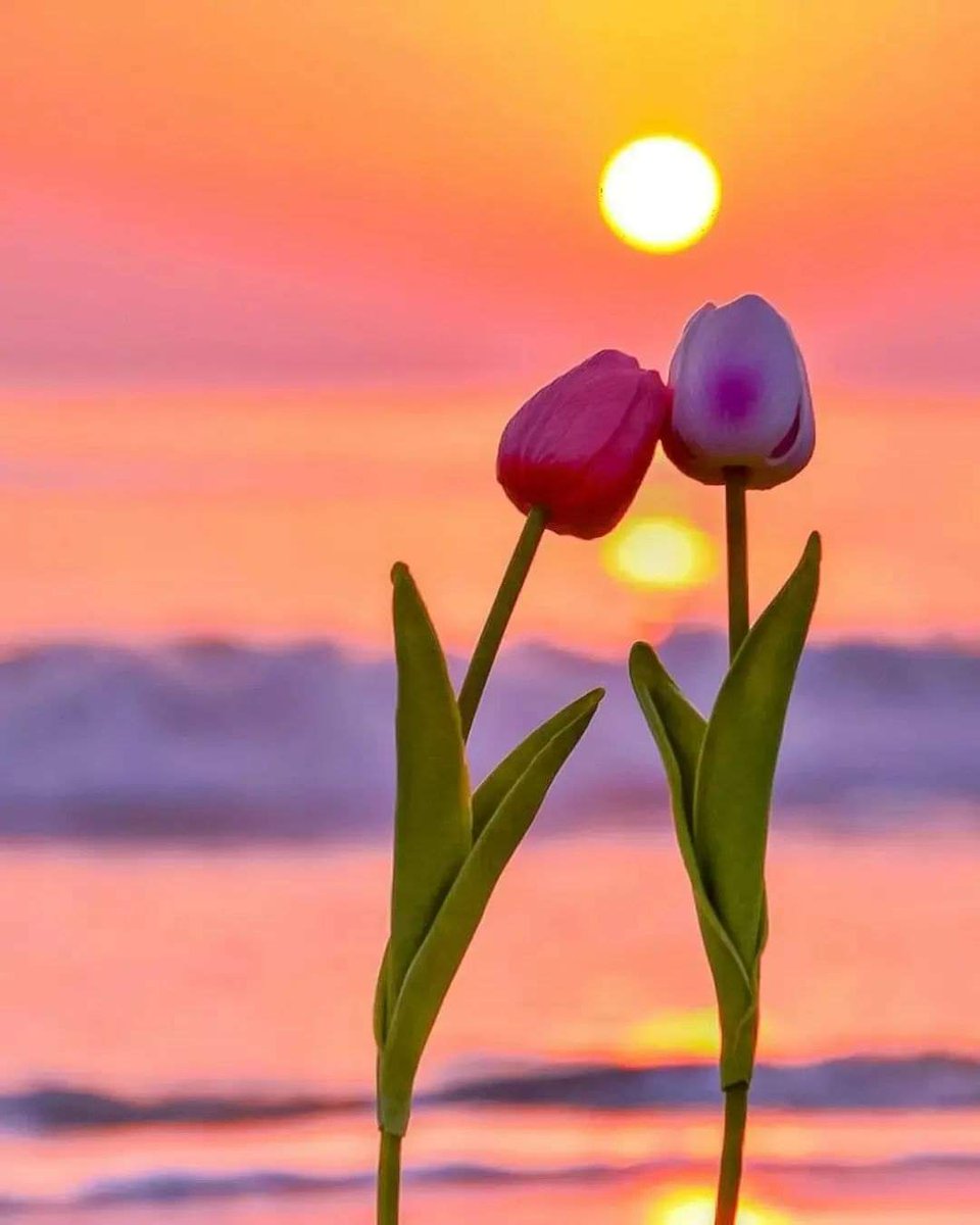 Eva (@eva06739326) on Twitter photo 