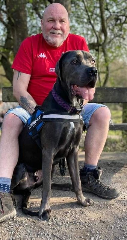 Me and my good looking Dad on da walks... <a href="/ScouseB/">Stan K. Sandland-Owens</a> <a href="/DT_Merseyside/">Dogs Trust Merseyside</a> aint I da  big pupper now? #dogsoftwitter #dogstrust