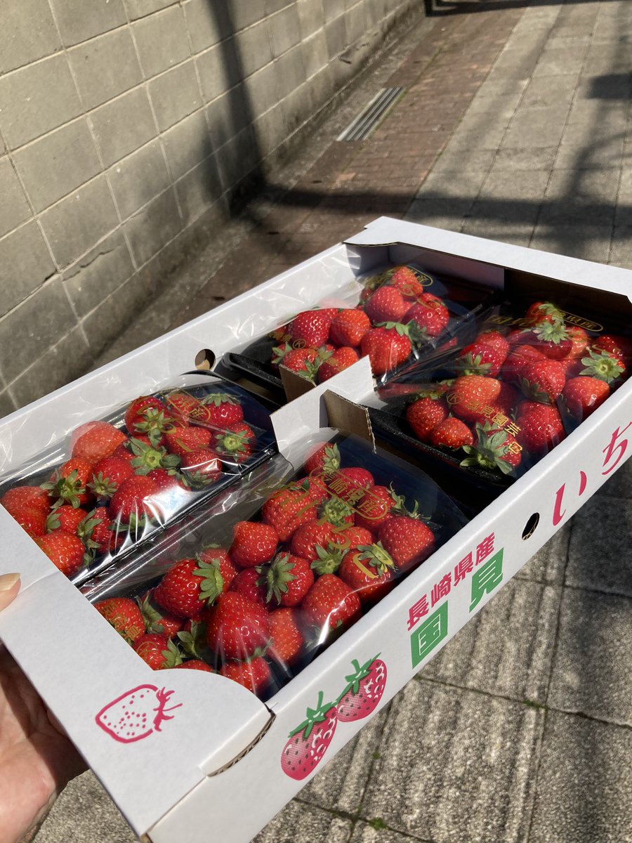 ruhika42923366's tweet photo. さんぽの収穫
いちご一箱!!
これ一度やって見たかった
いちご食べ放題🍓🍓🍓🍓
#いちご
#fluits https://t.co/48kpkrP44z