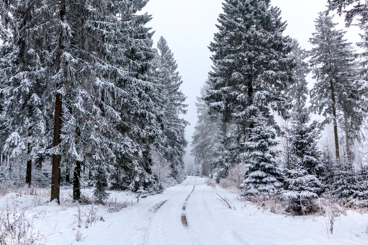 oliverhlavaty's tweet photo. 🔸Welcome Back • Ja, richtig gesehen! Der #Winter ist in weiten Teilen #Deutschland‘s zurück - wie zB. hier bei #Rotterode im #ThüringerWald! ☃️ Okay, kann man jetzt gut finden oder eben auch nicht! 🙈 Ich hoffe, die #Winterräder sind bei euch noch drauf!? 😃 https://t.co/bKdC0RVvoE
