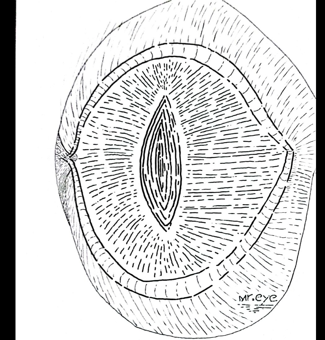 MaxMan80654311's tweet photo. Mr.eye
Art is a way to find yourself...
👁️ https://t.co/DZr8grtWYh
